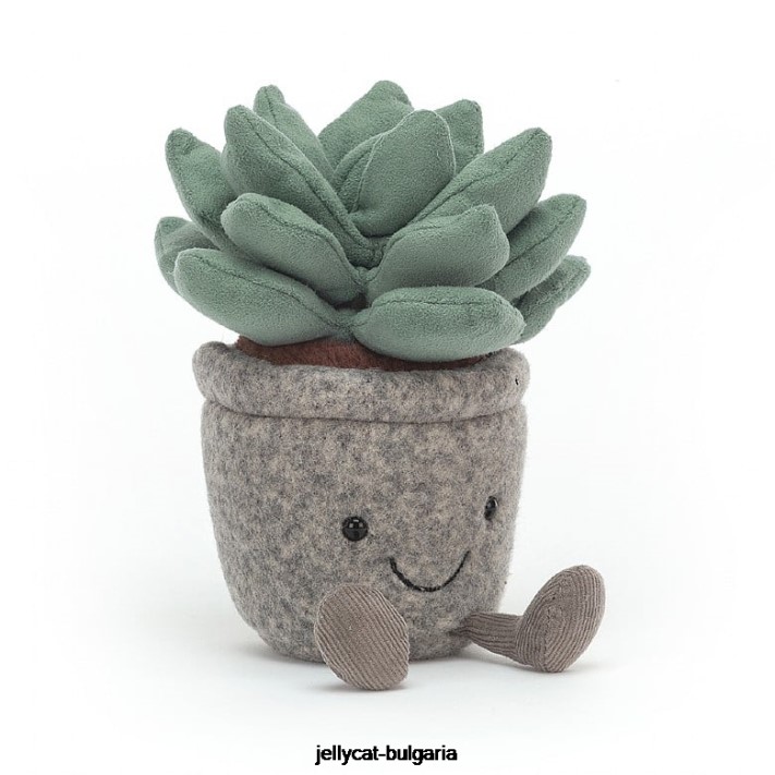 Jellycat hloupá sukulentní azulita vícebarevná 595 hračka