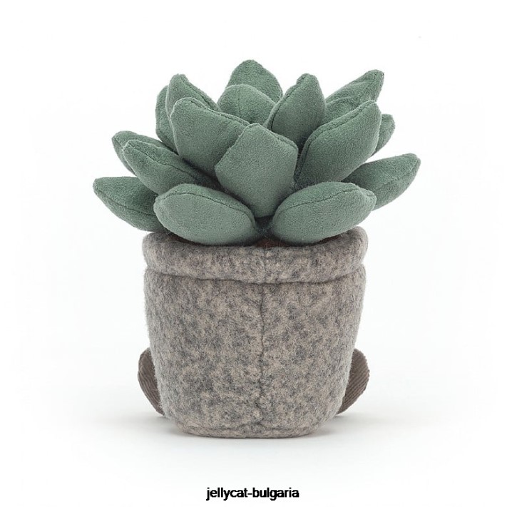 Jellycat hloupá sukulentní azulita vícebarevná 595 hračka